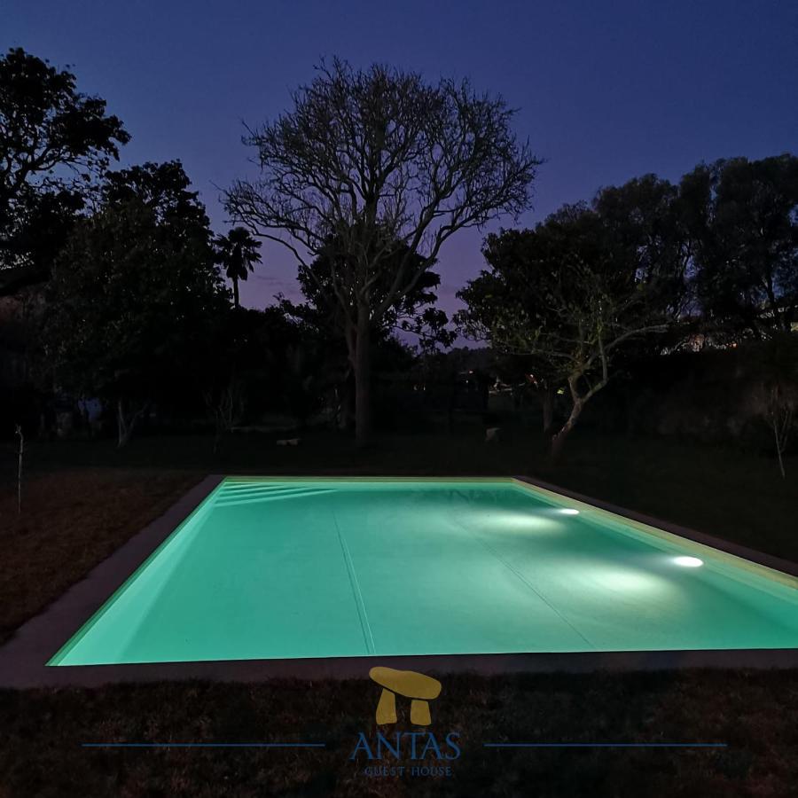 Antas Guest House Esposende Bagian luar foto
